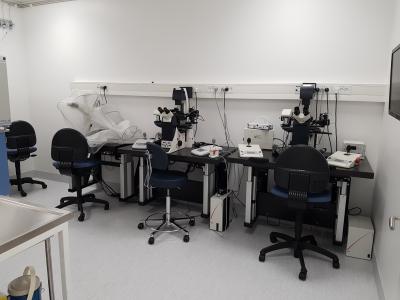 mikroskoper, hvor bioanalytikere sidder og befrugter øggene med ICSI metoden