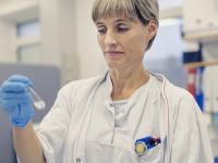 Anita Morell studerer de rene immunceller